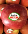 Karfrut Karaevli Meyve Üretim Ve Pazarlama Limited Şirketi Çorlu Şubesi